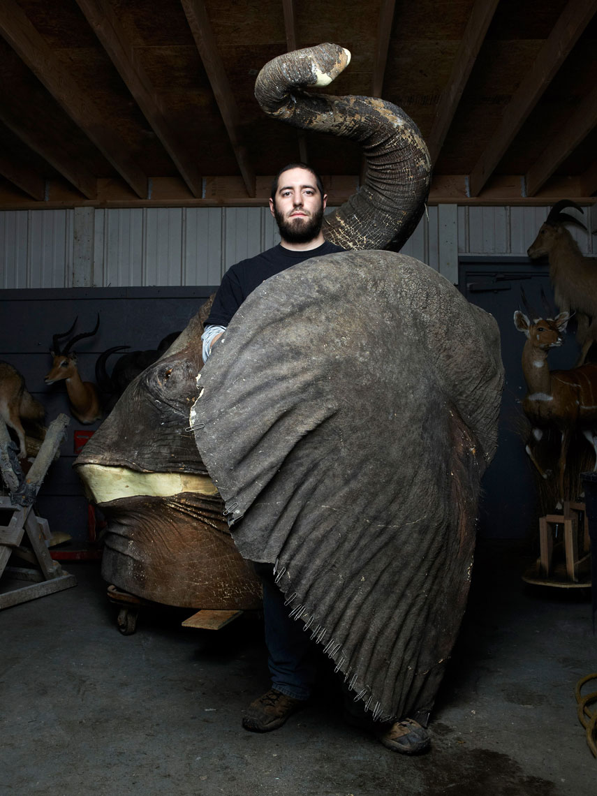 taxidermy_northeast_0099f